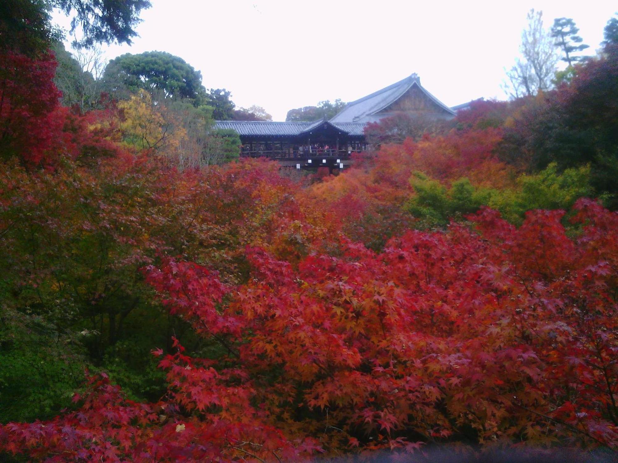Kamuroan Kyoto Exteriör bild