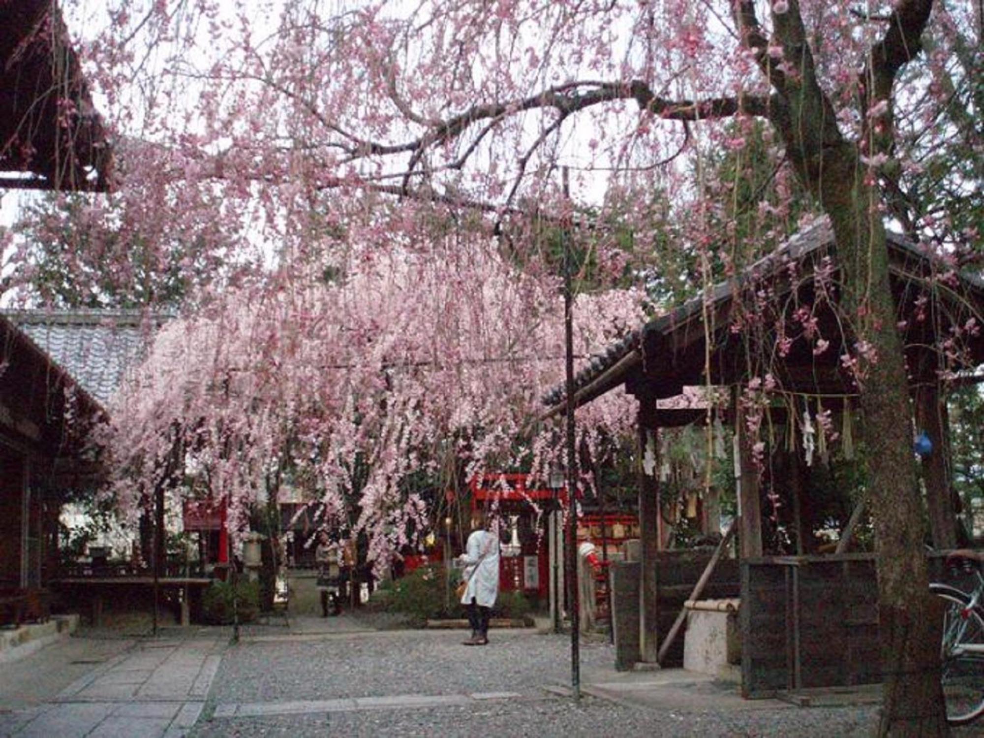 Kamuroan Kyoto Exteriör bild
